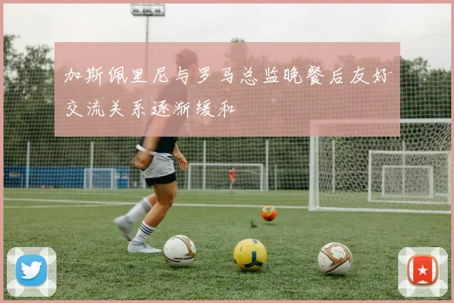 加斯佩里尼与罗马总监晚餐后友好交流关系逐渐缓和
