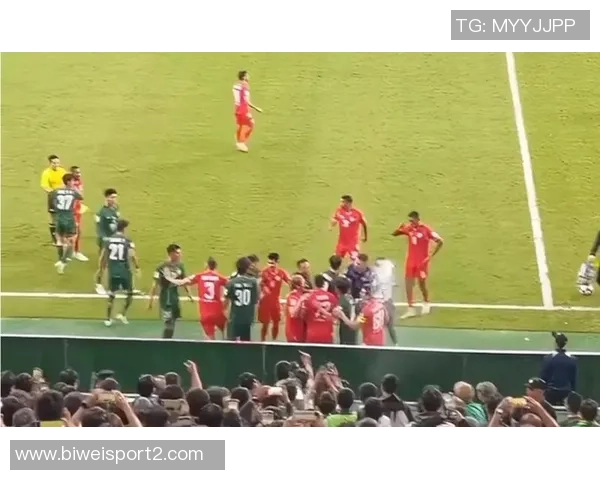 比甲比赛因球迷投掷水杯击中主裁在第87分钟意外中止引发热议